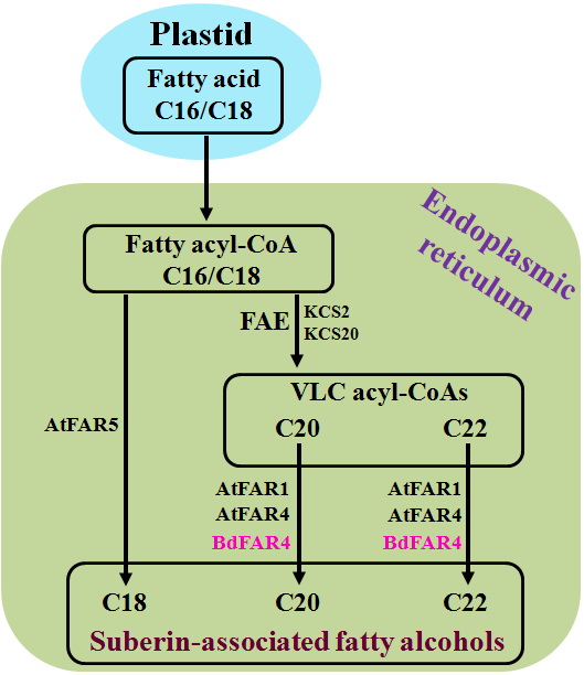 b8c1f9b6eadd49ab829e8f0e858df259.jpg 11.jpg