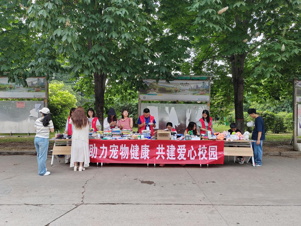 图示, 示意图
中度可信度描述已自动生成:ver1