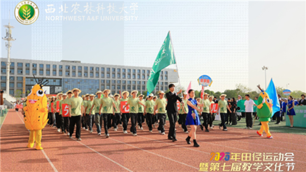 图片 2_副本.png