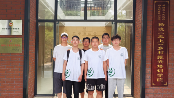 图片10.png