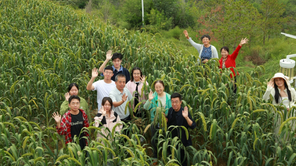 图片6.png