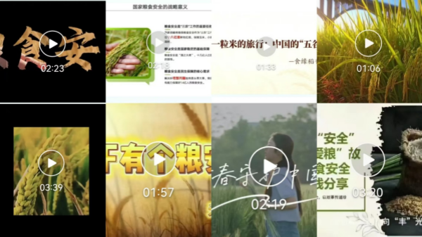 粮食安全_副本.png