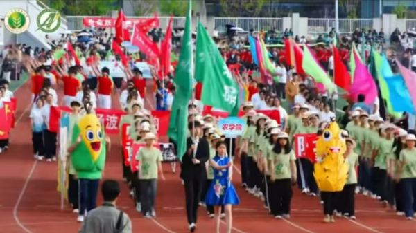 图为3200威尼斯vip方阵_副本.png